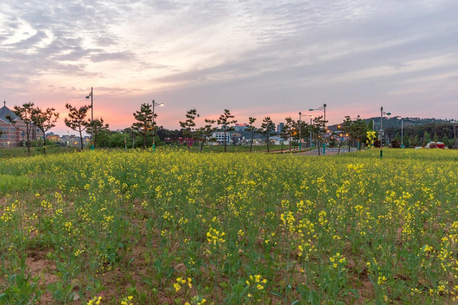 Daecheon Gyeoulyeonga Pension Boryeong Dış mekan fotoğraf